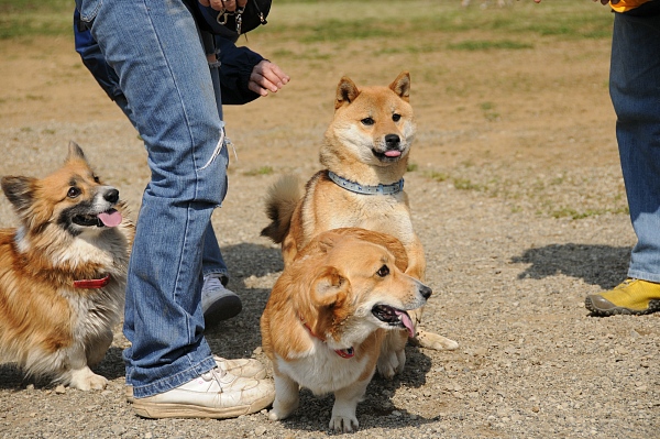 とぶき　200903 13_c0109780_19495428.jpg