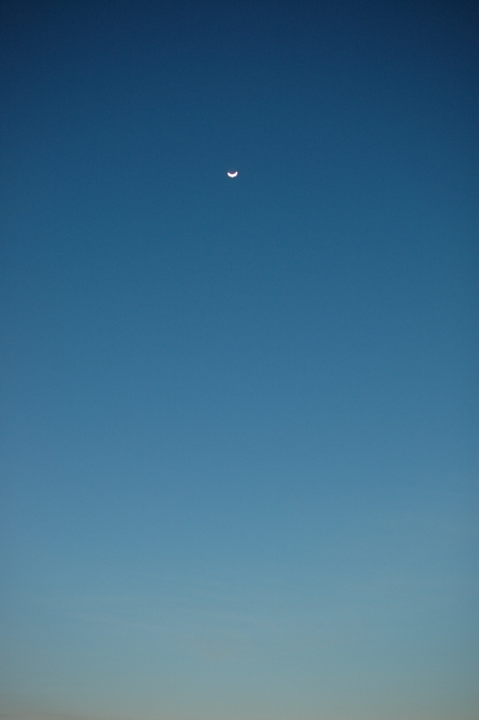 f0194981_0263536.jpg