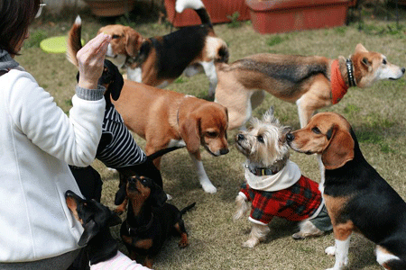 北陸犬ﾊﾞｶの会・・・小雪舞うBBQ♪その２_e0066883_21211274.gif