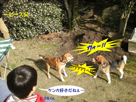 北陸犬ﾊﾞｶの会・・・小雪舞うBBQ♪その２_e0066883_21484327.gif