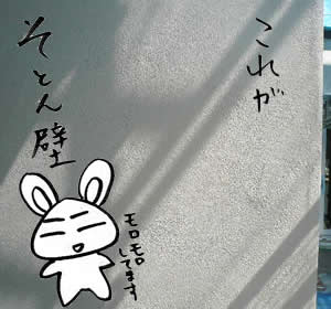 外壁はそとん壁 おうちをたてるよ 名古屋で一戸建て