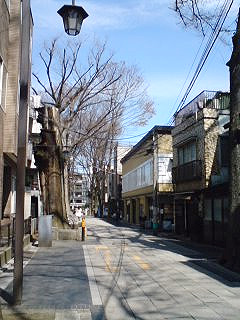 e0124597_2083184.jpg