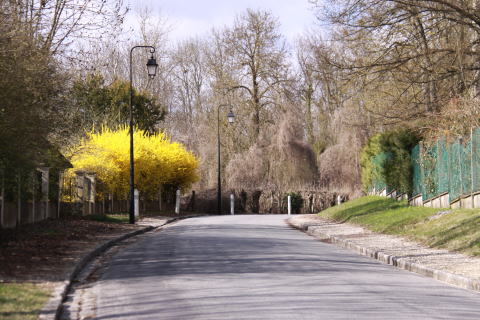c0090198_213879.jpg