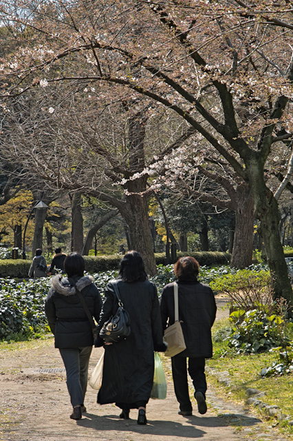 日比谷公園の春 そして桜 1_d0069398_22383641.jpg