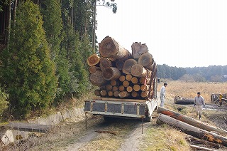 f0060500_1681558.jpg
