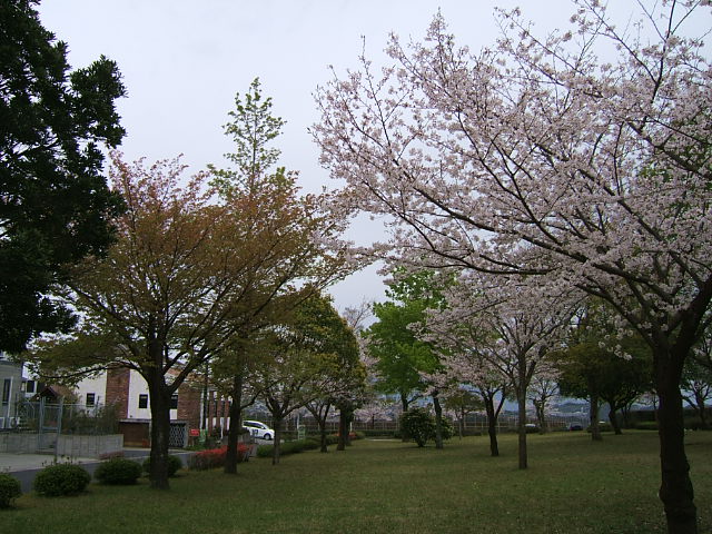 c0037701_23214771.jpg