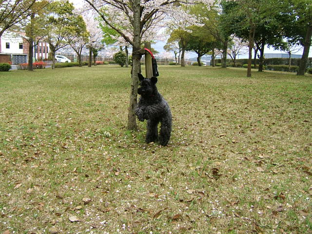 c0037701_23222298.jpg