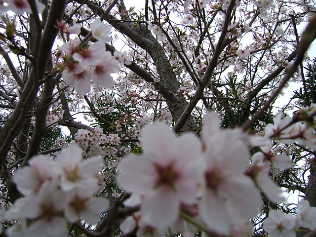 c0037701_23232076.jpg