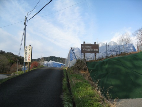 d0116205_21504591.jpg