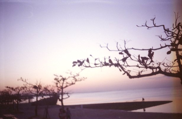 f0177305_21563469.jpg