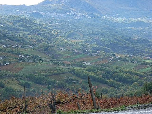 c0109306_34847100.jpg