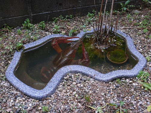 d0010008_103145.jpg