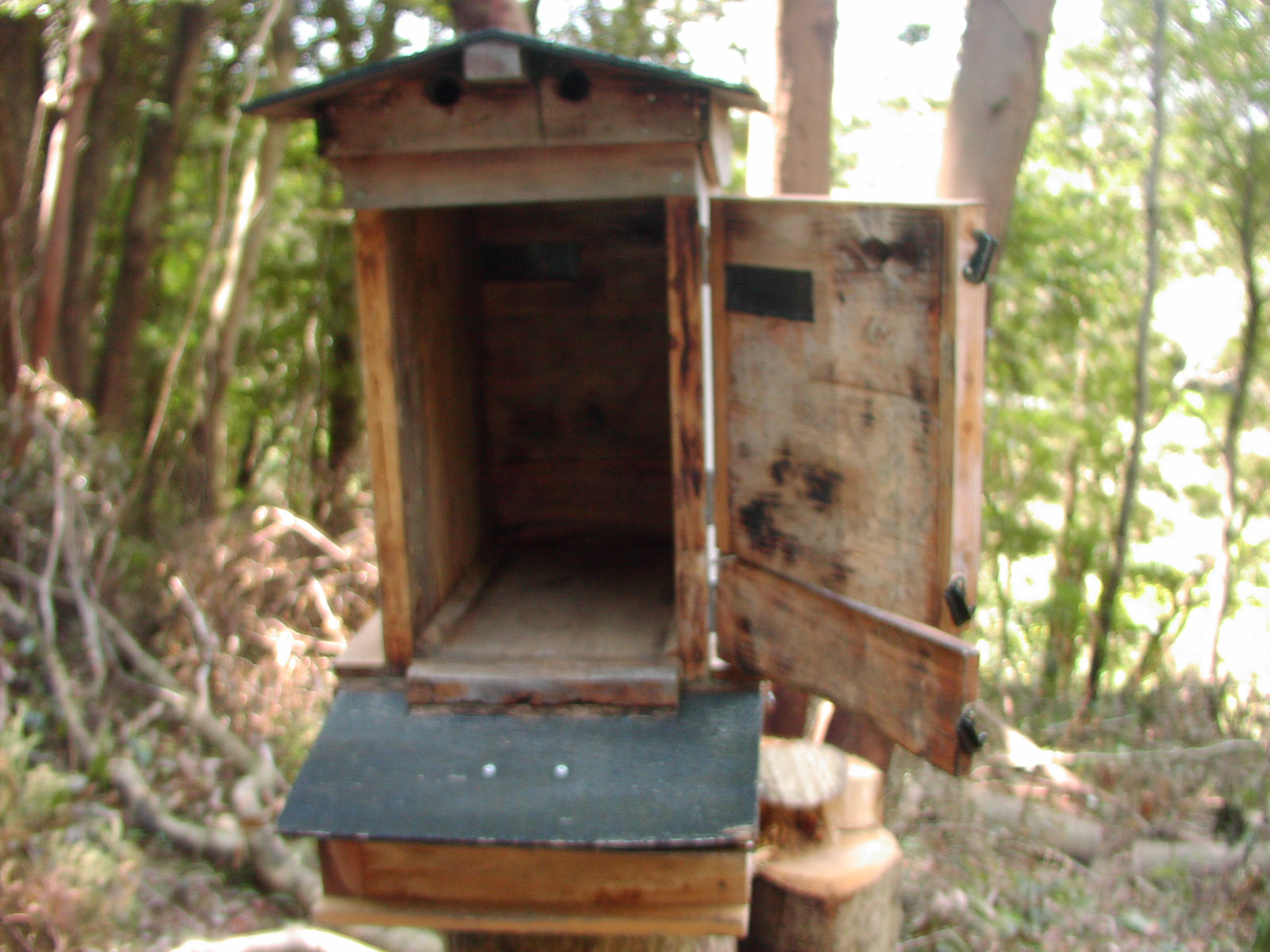 f0164410_14174895.jpg