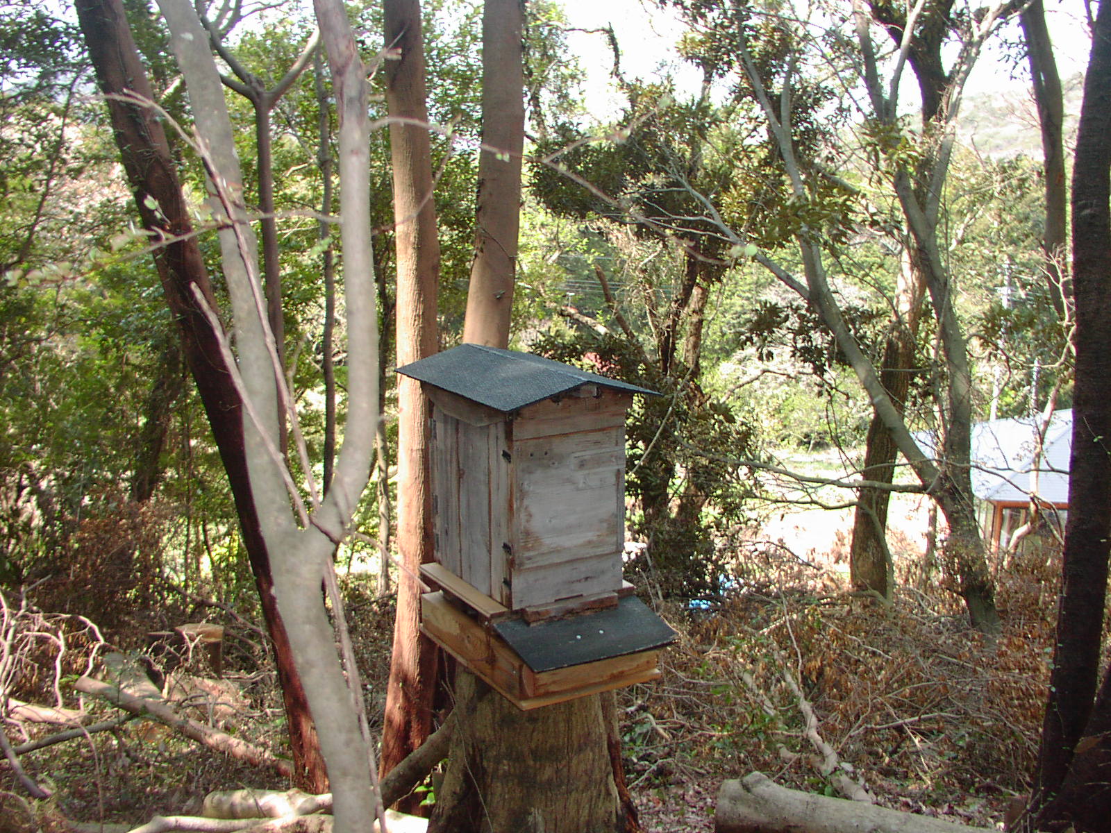 f0164410_14183354.jpg