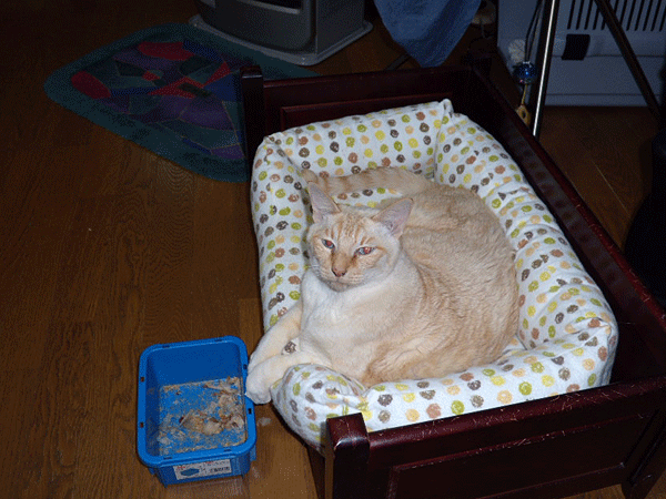 b0159611_035568.gif