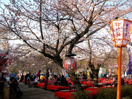 八坂神社と円山公園1_e0048413_22152998.jpg