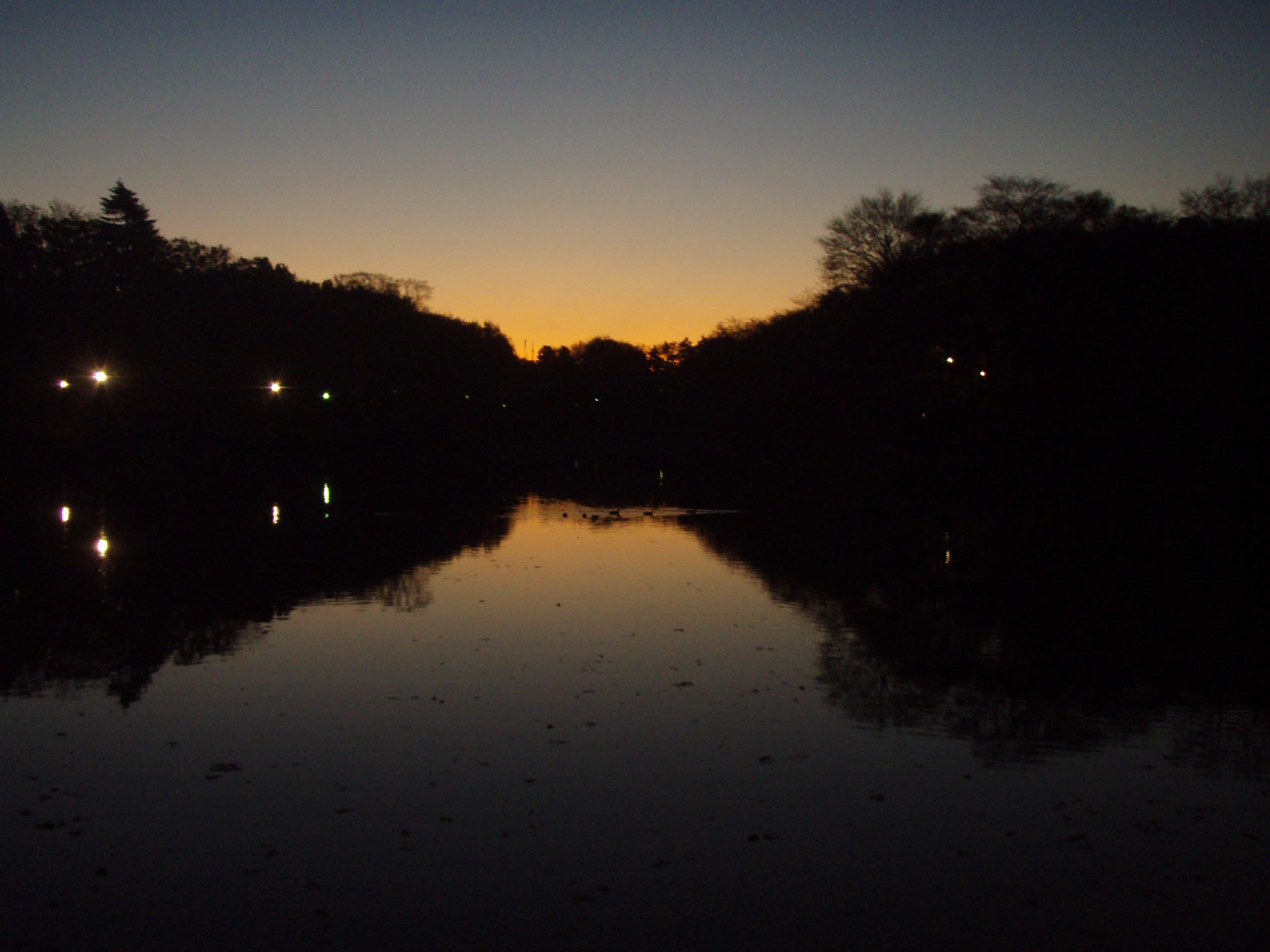 f0201014_20221571.jpg