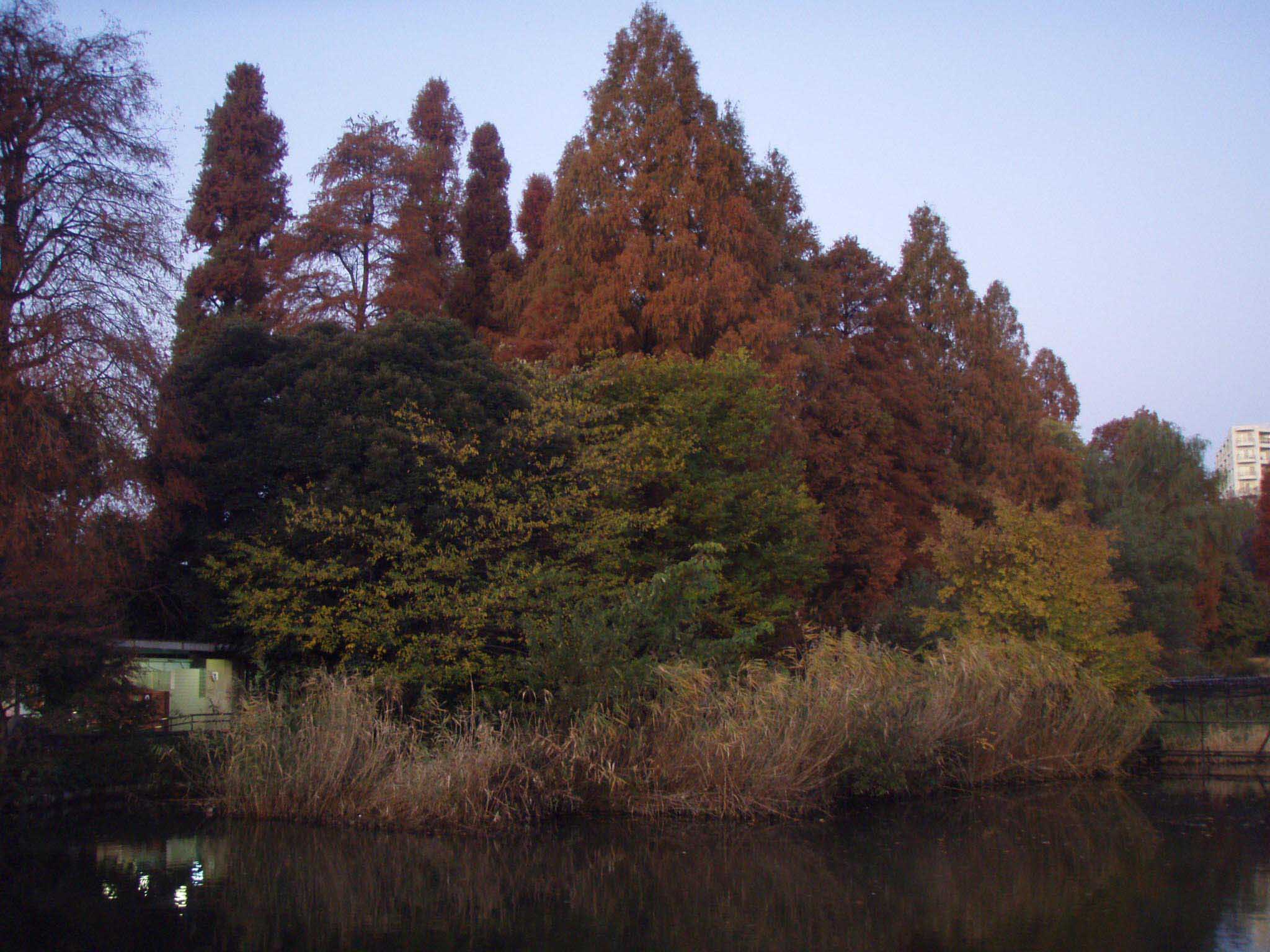 f0201014_20234535.jpg