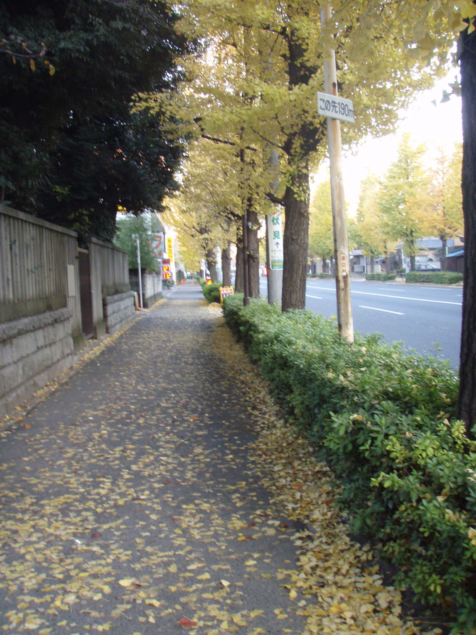 f0201014_20262718.jpg