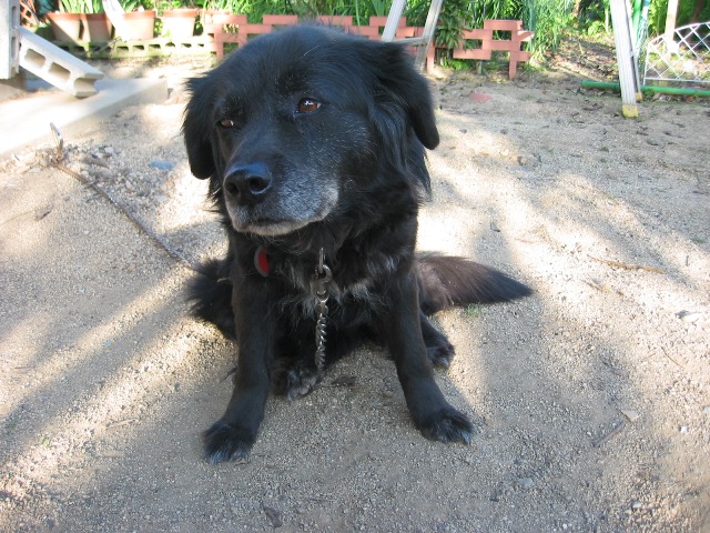 d0109916_04247.jpg
