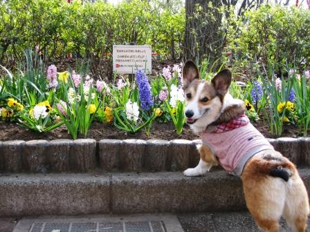 日曜日の公園…_f0155118_684791.jpg