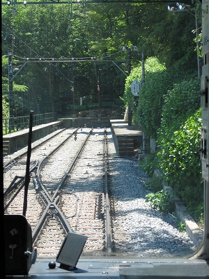 e0170519_2241897.jpg