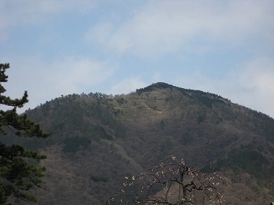 e0170519_229207.jpg