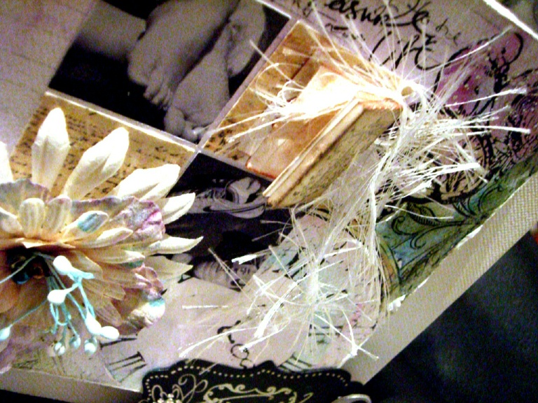 f0005420_845438.jpg