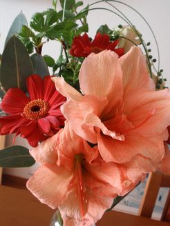 a0090126_1154446.jpg