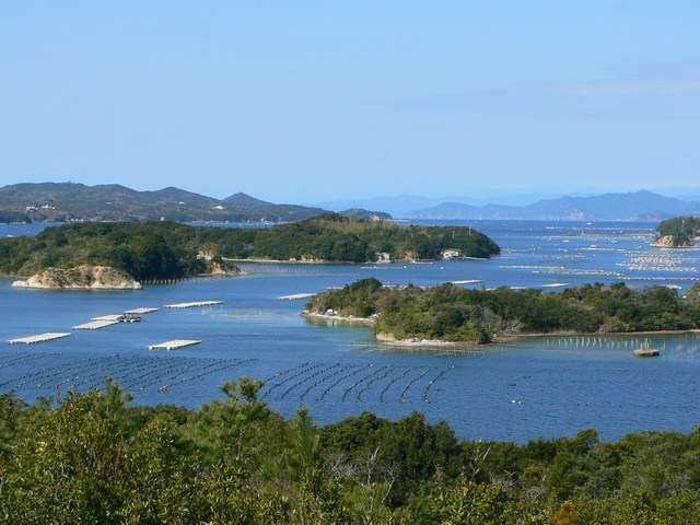 d0092026_17381169.jpg