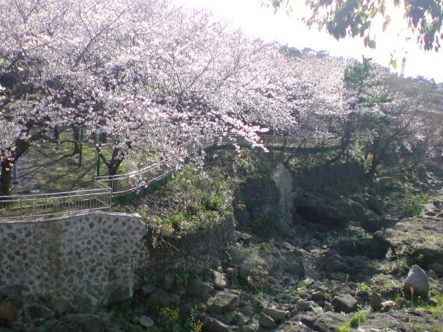 e0016828_004822.jpg