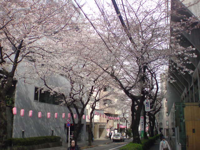 e0016828_074780.jpg