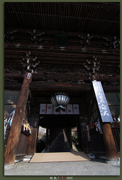 長谷寺 桜咲く頃　（前編）_e0150228_10254816.jpg