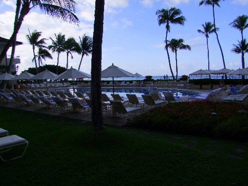 a0000029_1405982.jpg