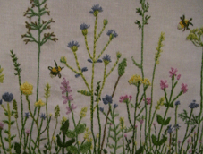 e0096331_2348324.gif