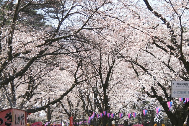 e0064133_2319324.jpg