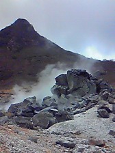 f0154533_23324897.jpg