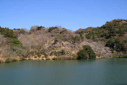 那智山（那智の滝、熊野那智大社、青岸渡寺）_c0119036_0171841.jpg