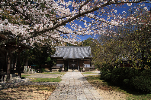 那智山（那智の滝、熊野那智大社、青岸渡寺）_c0119036_0175447.jpg