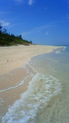 b0163038_23514726.jpg