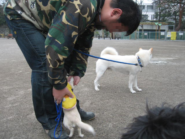 四月一日だったか(≧m≦)ぷっ!_c0102545_17124991.jpg