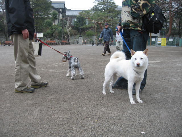 四月一日だったか(≧m≦)ぷっ!_c0102545_17134664.jpg