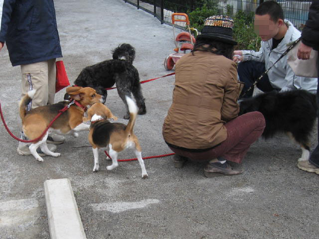 四月一日だったか(≧m≦)ぷっ!_c0102545_17201441.jpg