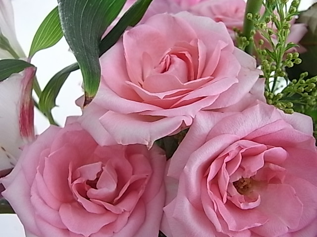 薔薇の花束_b0145846_22401610.jpg