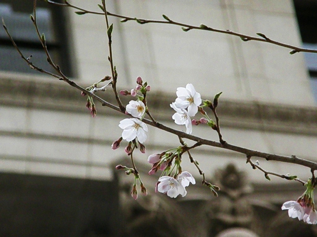 e0064158_23191851.jpg