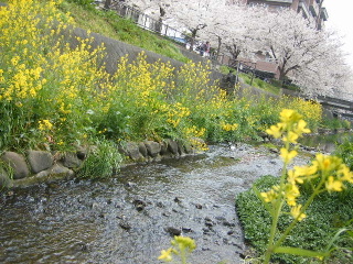 f0043559_22591922.jpg