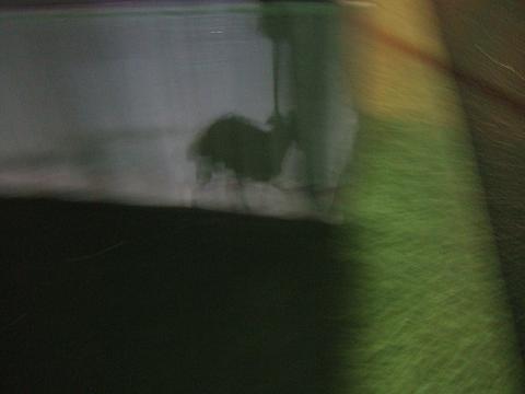 f0158862_21382968.jpg