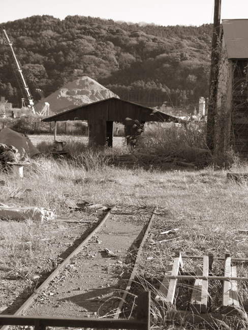 d0068664_226119.jpg