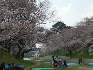 c0023165_21292662.jpg