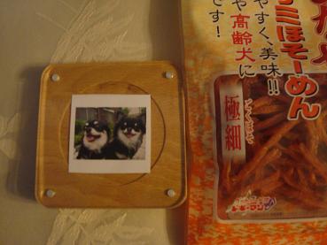 お花見オフ会_d0006467_22213886.jpg